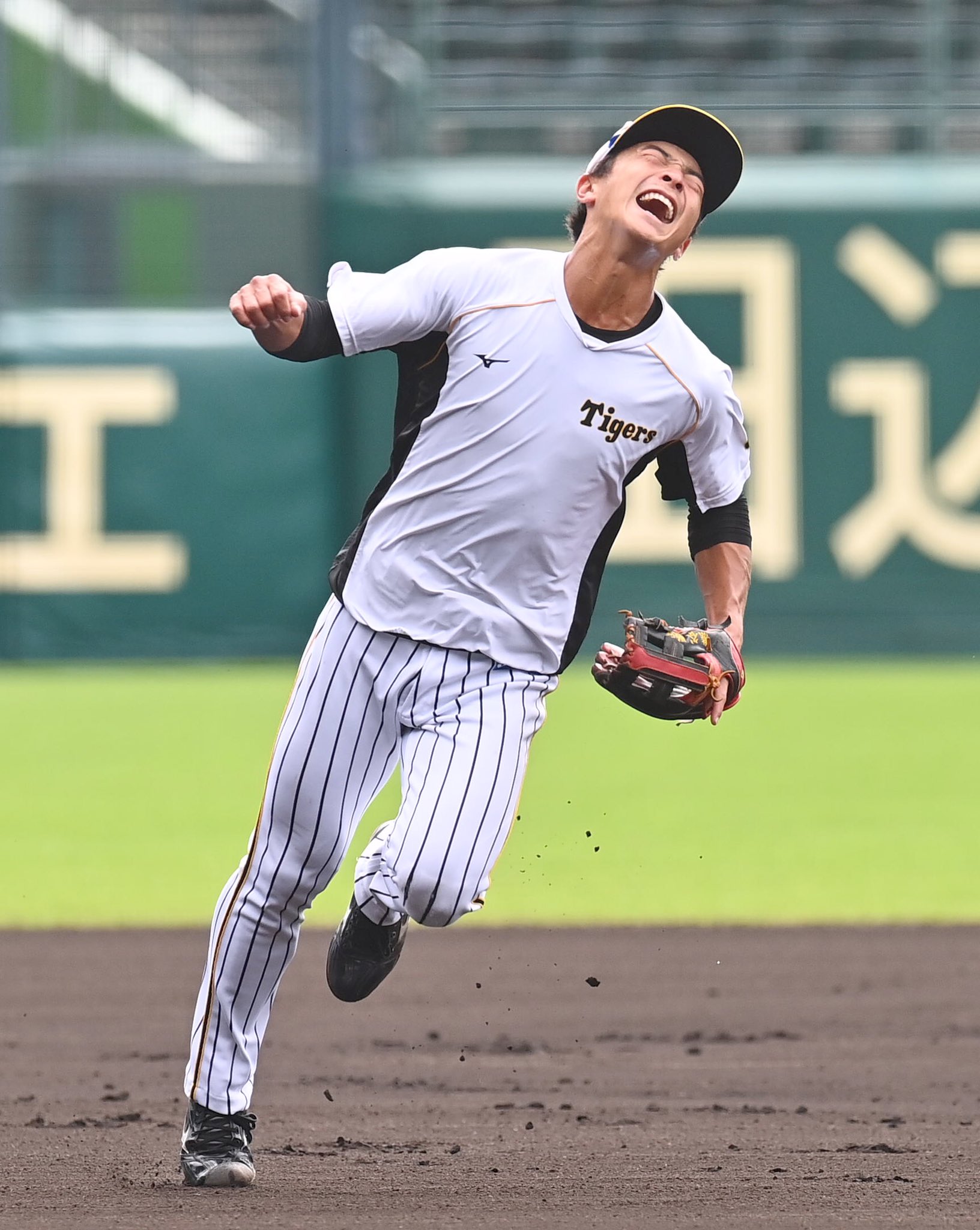 極トラ・プレミアム（日刊スポーツ） on X: 