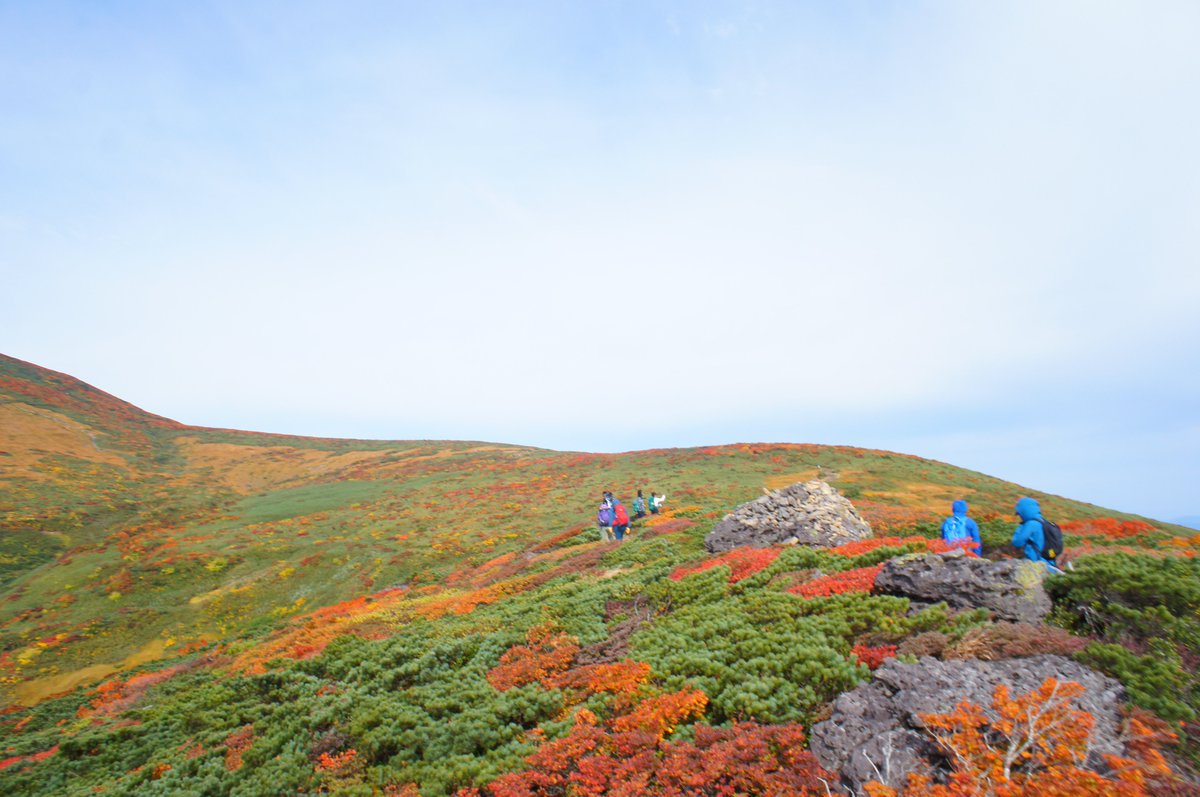 aotora2019's tweet photo. 先週行った紅葉の栗駒山　またいきたいなあ　#栗駒山 https://t.co/c2IY6Et8Aj
