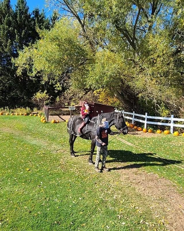 AlaciaTimbit's tweet image. More of today