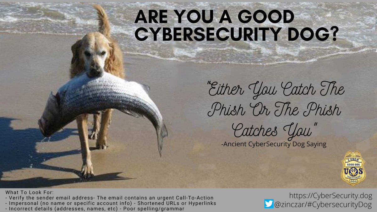 zinczar's tweet photo. It’s #NationalCyberSecurityAwarenessMonth (#NCSAM) and people like #Dogs so I made some fun posts to help #CyberSecurityDogs teach you about better #CyberSecurity practices. https://t.co/A3rJa4t0J7 #BeCyberSmart #WhoseAGoodDog. @CISAgov also has even more great #InfoSec content https://t.co/yeLIRoCNrz