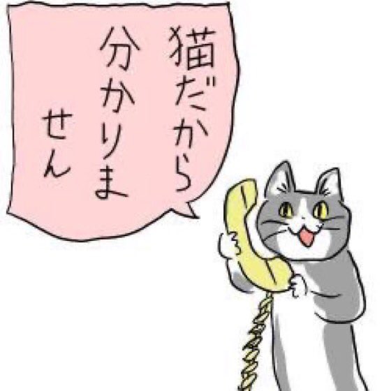 とある橋の工事現場看板に 現場猫 が ヨシ 全然よろしくない この橋は落ちる 労災案件 と不安を感じざるを得ない Togetter