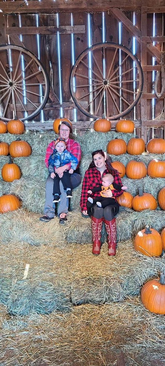 AlaciaTimbit's tweet image. More of today