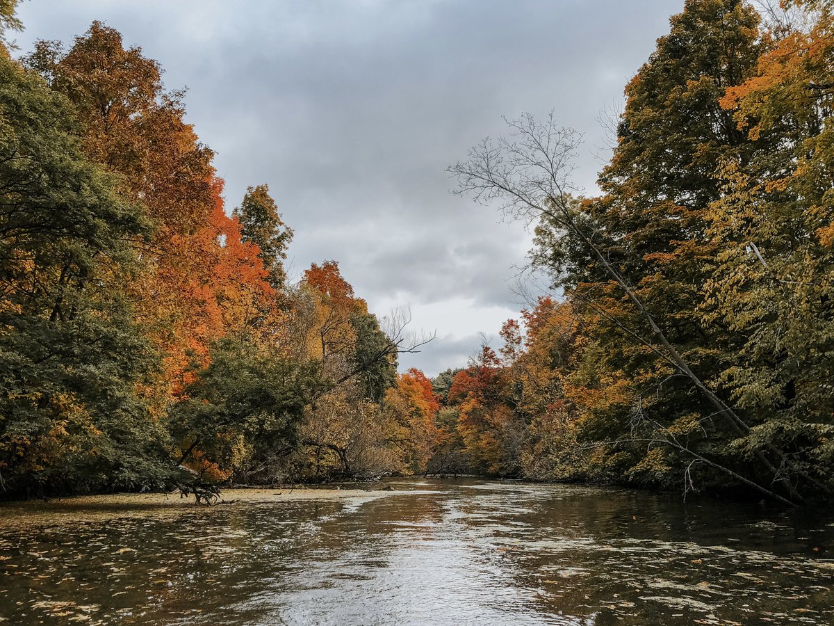 stephdrayer's tweet photo. Autumn in Norfolk ❤️🍁🍂 #norfolk #519folk #blackcreek #portdover #home #ruralliving #dinghy https://t.co/kVR3sEP1zP