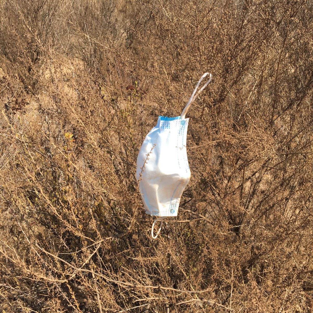 katymcc's tweet photo. Americans never miss a new opportunity to litter, do they?#keepitonyourfacedummies #viewfromarun https://t.co/UsJRst7Cew
