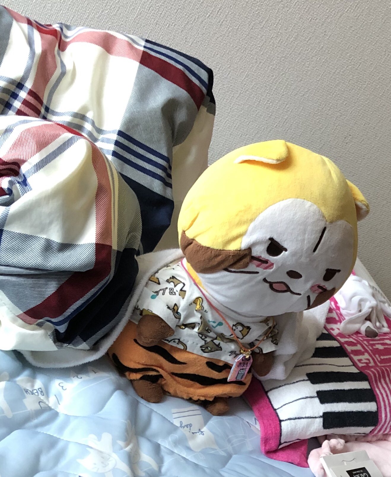 ラスカルちゃん☆ページ あらいぐまラスカル - অনুসন্ধান / X