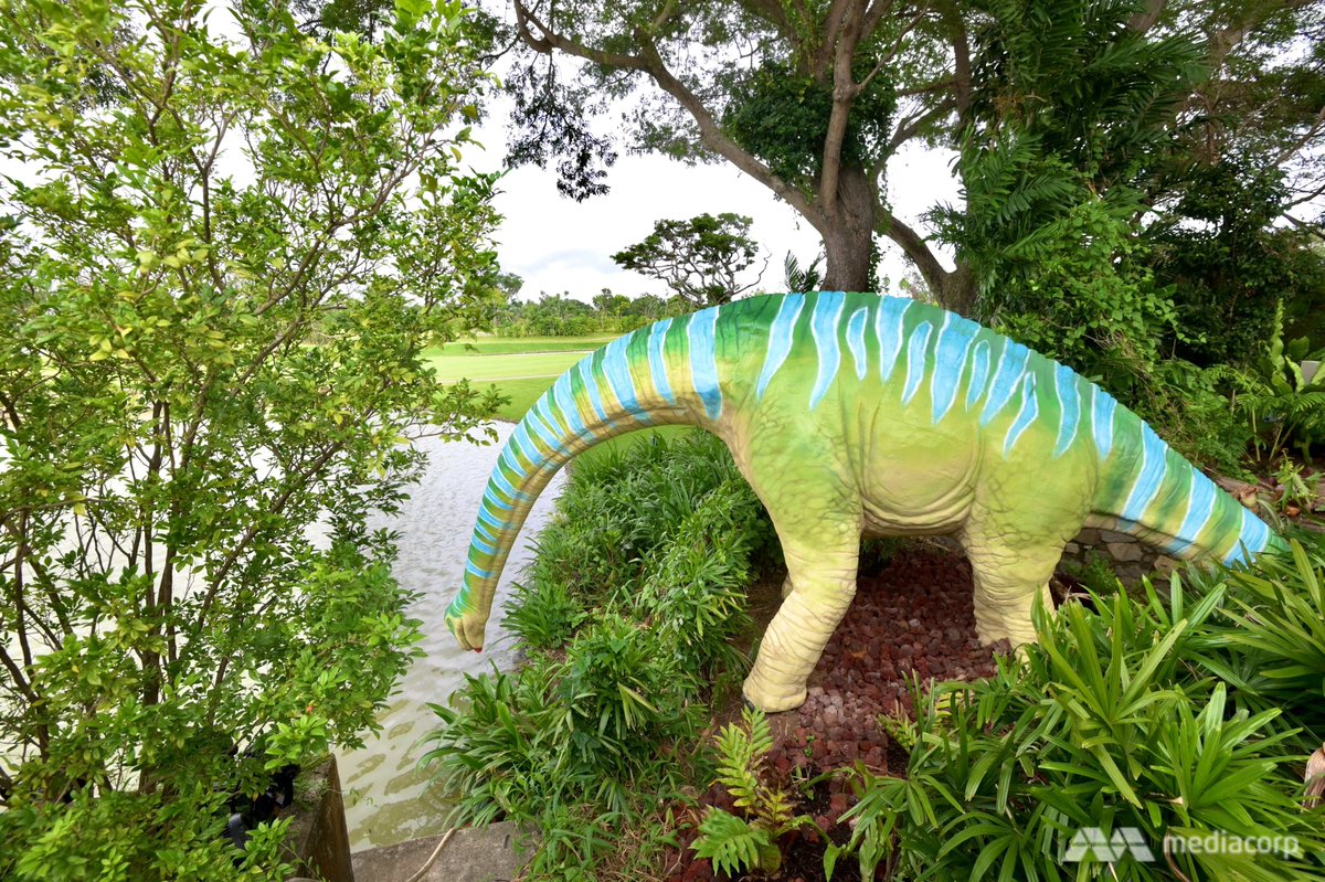 ChannelNewsAsia's tweet photo. Take a walk on the wild side with 22 "life-sized" dinosaur models at Changi Jurassic Mile, along the new 3.5km Changi Airport Connector.
(Photos: Hanidah Amin)
Read more: https://t.co/Xc7A7RDhcJ https://t.co/khXIUlRjUW