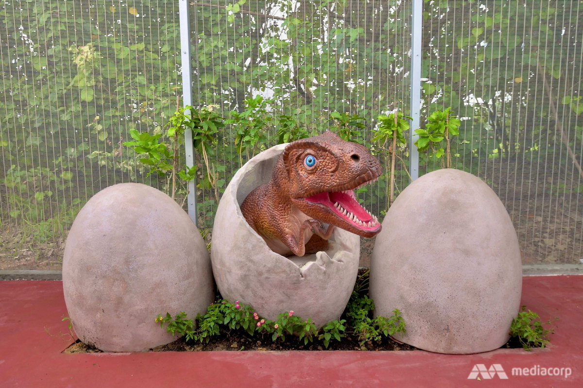 ChannelNewsAsia's tweet photo. Take a walk on the wild side with 22 "life-sized" dinosaur models at Changi Jurassic Mile, along the new 3.5km Changi Airport Connector.
(Photos: Hanidah Amin)
Read more: https://t.co/Xc7A7RDhcJ https://t.co/khXIUlRjUW
