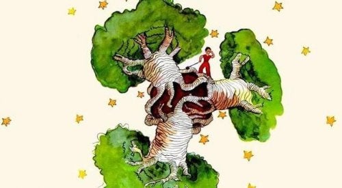 The tree/rosebush is a baobab tree. They're extremely significant in the book as they look like roses at first but can grow to choke small planets like the little prince's.