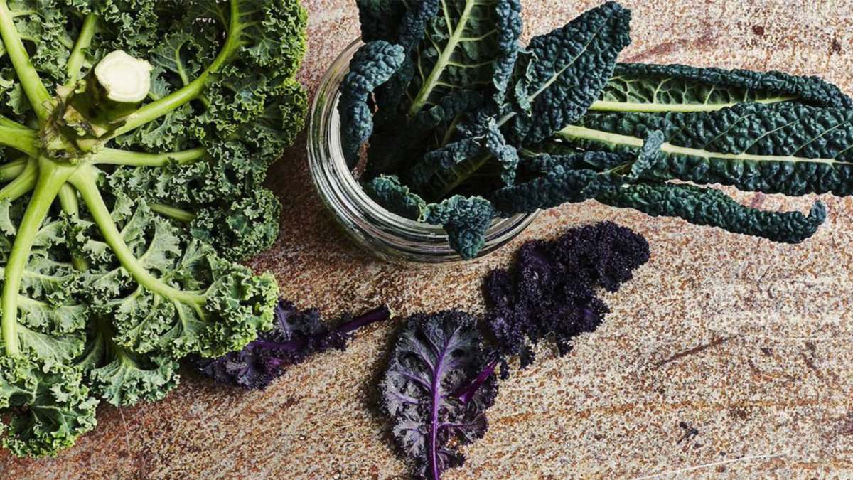 FranckTerras's tweet photo. Focus sur le chou kale qui débarque sur le réseau de la Ruche qui dit Oui! selon le terroir. Légume médicament ?| Vous manquez d'idées de recettes, Stéphan Lagorce de la revue  180° en a pour nous. #fourchettepower #alimentation #rqdo https://t.co/nMSfnLyXV5 https://t.co/LDjqB36zts
