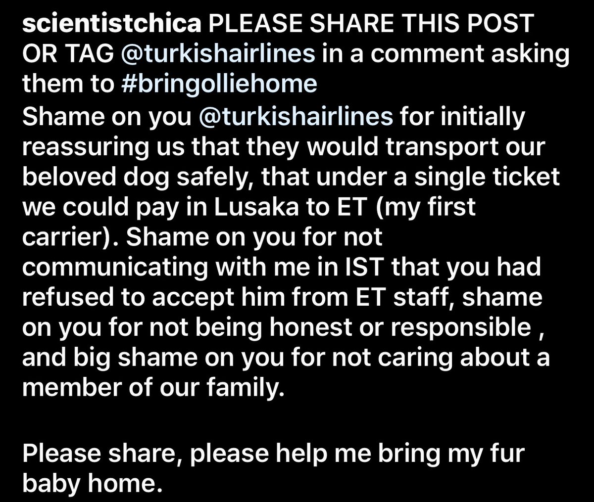 URGENT ANIMAL WELFARE: 
@TurkishAirlines
 has detained a passengers beloved pet and given her no communication about when they will reunite them. We are very worried for Ollie’s safety and well being.  Please retweet for @ssiyer8 
#bringolliehome
#turkishairlines
#animalemergency