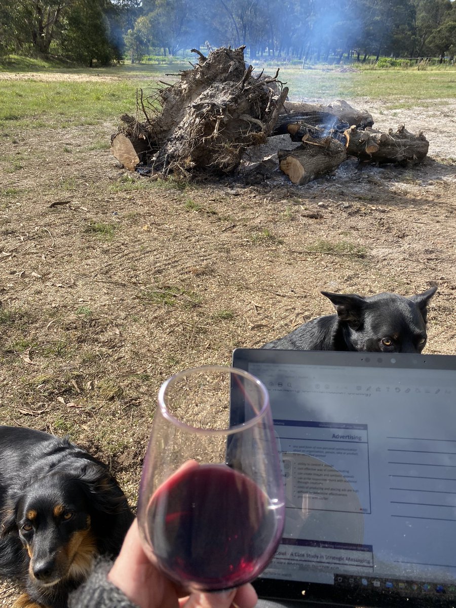 salpal10's tweet photo. When you live on a little farm you need to be flexible to study anywhere, with anyone....and with anything ;) @MKTG1103 #rmit2020 #semester2 #itjollywelldoesmatter #bonfireseason #lucyandmeg #luckyimagoodjuggler 🤡 https://t.co/wSuzuffFt7