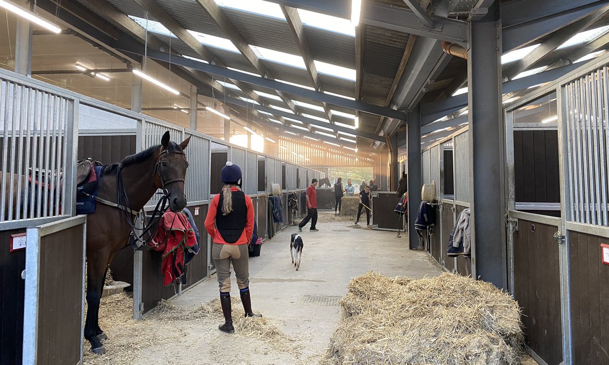 If you are struggling with your mental health and think that a few hours with horses would help, please send us a message #MentalHealthMatters