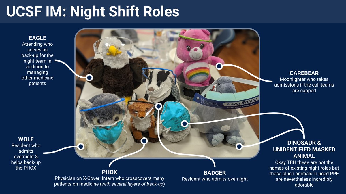 Thank you to <a href="/julian_genkins/">Julian Genkins</a> for this lovely photo of our many plush animals (corresponding to our many night roles)!

We added some labels &amp; descriptors to help everyone track the biodiversity at <a href="/UCSF/">UC San Francisco</a> IM!

#MedTwitter #MedStudentTwitter #Match2021