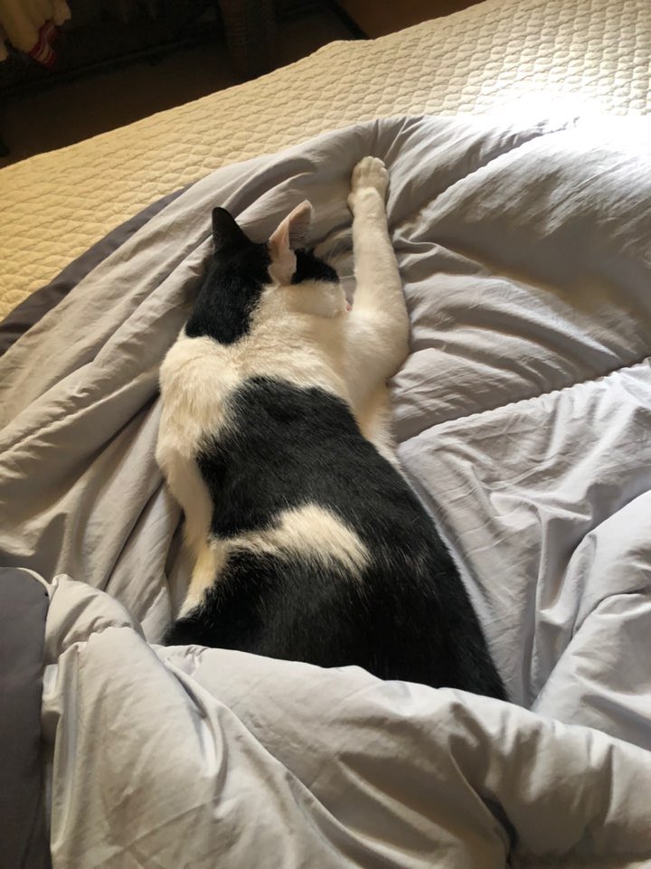 무슨 꿈 꾸면서 자니
팔은 저리지 않니