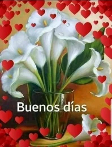 corimar2020's tweet image. 😚#LeyAntibloqueoEsprogreso @AguaPaVenezuela @Mippcivzla @JoseS01104226 @EProfeguerrero @moni21_pgh @amelia74698445 @Diegoj1119 @Vilma_Meche @Mercede07316003 @NicolasMaduro @jdmendezr71 @LourdesDeNieve1 @revolucionJS79 @4fAbuela @Briggittems1