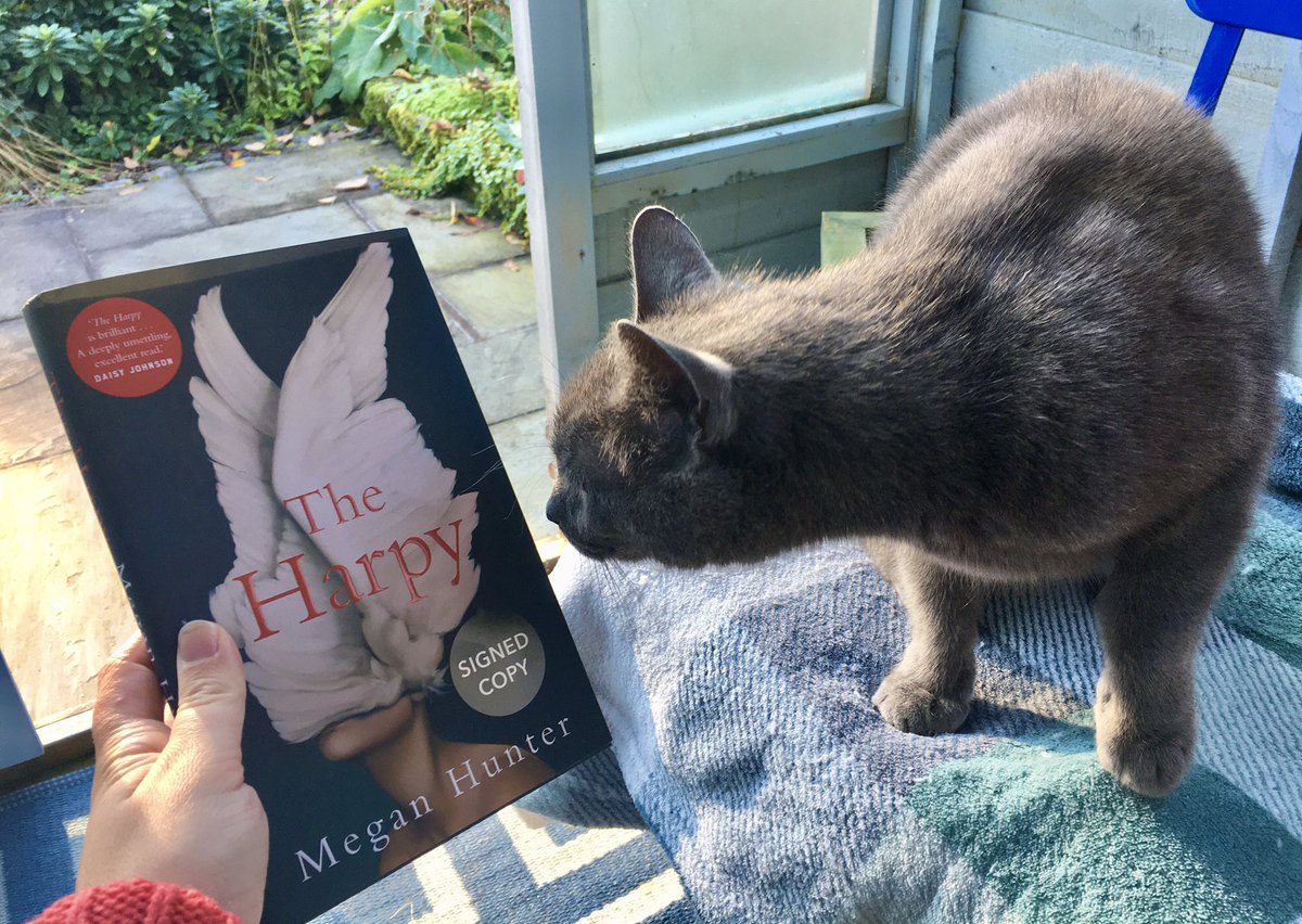 Book 11 is Megan Hunter’s psychological new novel, ‘The Harpy’, taking myth and realism and combining them to create something that feels part intimate unflinching portrait, part fable.  #amreading  #novellathon