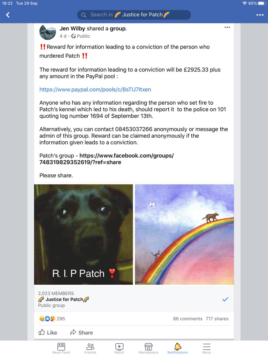 Please keep retweeting - Someone must know something 

♦️♦️£3000 REWARD ♦️♦️

For information leading to a conviction of the ‘person’ who set fire to Patch’s kennel which led to his painful death #justiceforpatch #PRESTON

@1ChrisMumford @HelpFindSaffron 

facebook.com/groups/7483198…