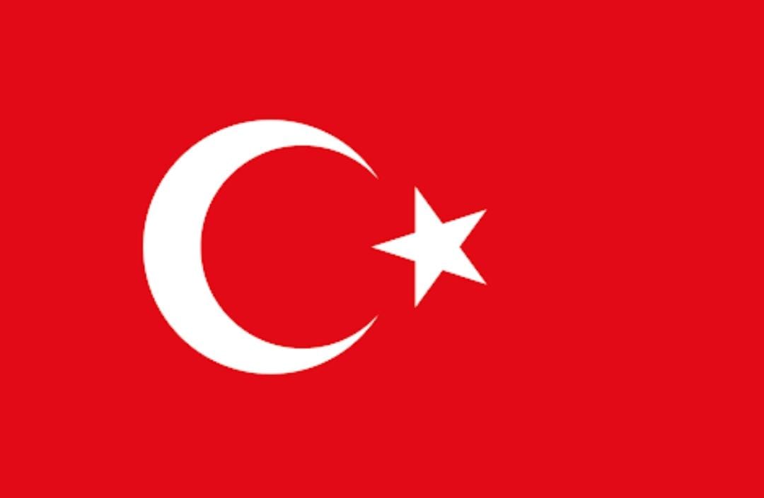 Mehmet Sekmen