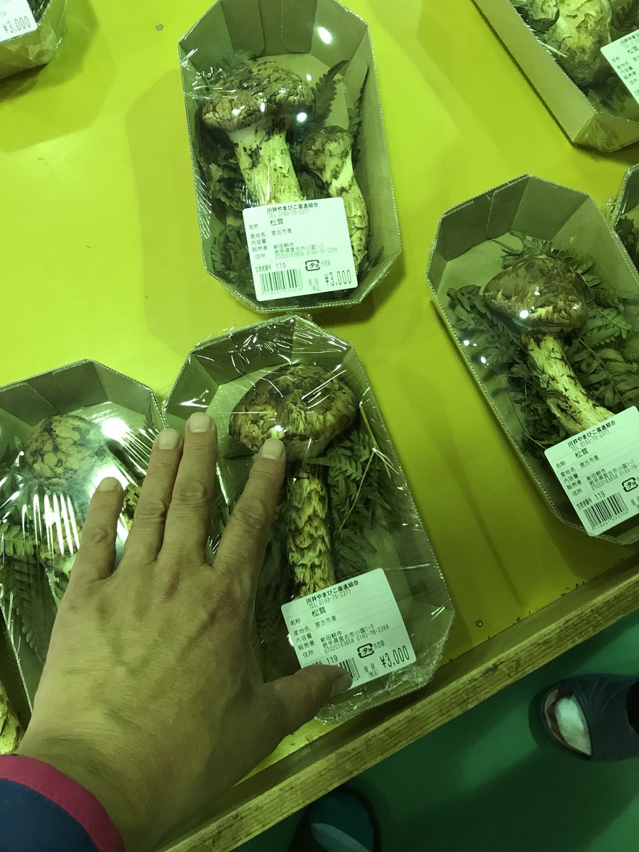 かず 子供の頃は 椎茸も栽培してる家が近くて 椎茸ももらい 松茸も時期になると 貰えてたなぁー いまかんがえると凄いですよね 地元のすごさ