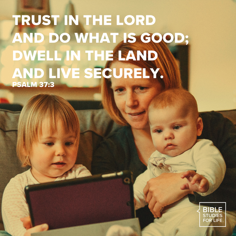 BibleMeetsLife tweet media