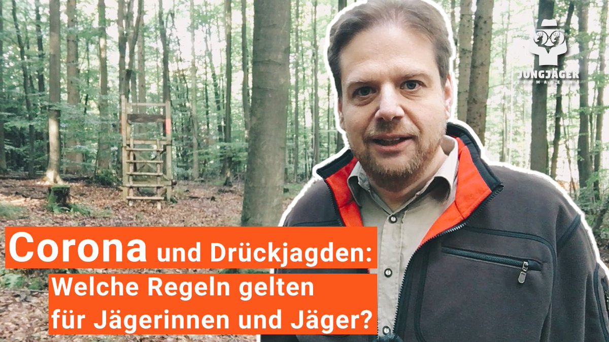 Können Drückjagden trotz der aktuellen Corona-Infektionszahlen stattfinden und welche Hygieneregeln müssen eingehalten werden? 
Reist Du aus einem #Corona Risikogebiet zur Jagd? Dann schaue unbedingt auch in die Links in der Videobeschreibung! Zum VIDEO: youtu.be/rvW0qBFvl7c