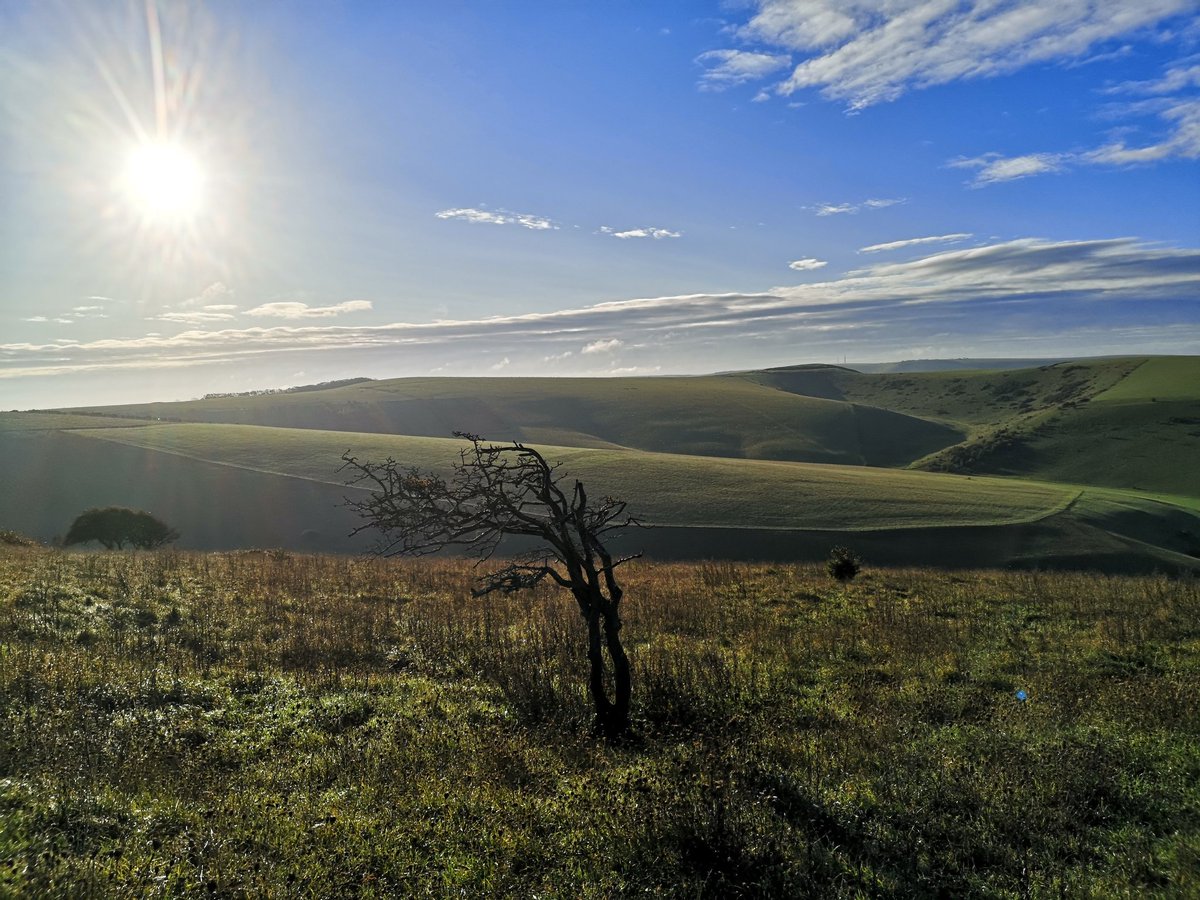 CharlieT_Cheese's tweet photo. Sunday morning south downs #spiritfood https://t.co/X35mqdoQcb