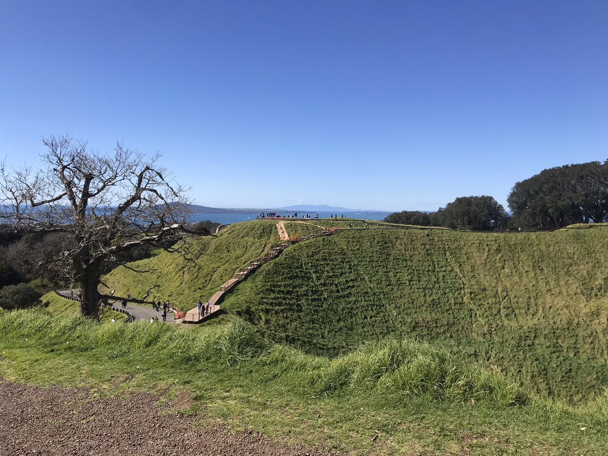 Take the new boardwalk on Maungawhau. It’s been v carefully designed to last up to 100 years, w no concrete foundations to allow the land beneath to heal. It reminded me of many of the viewing areas at Uluru, sitting on the earth not in it. 7/