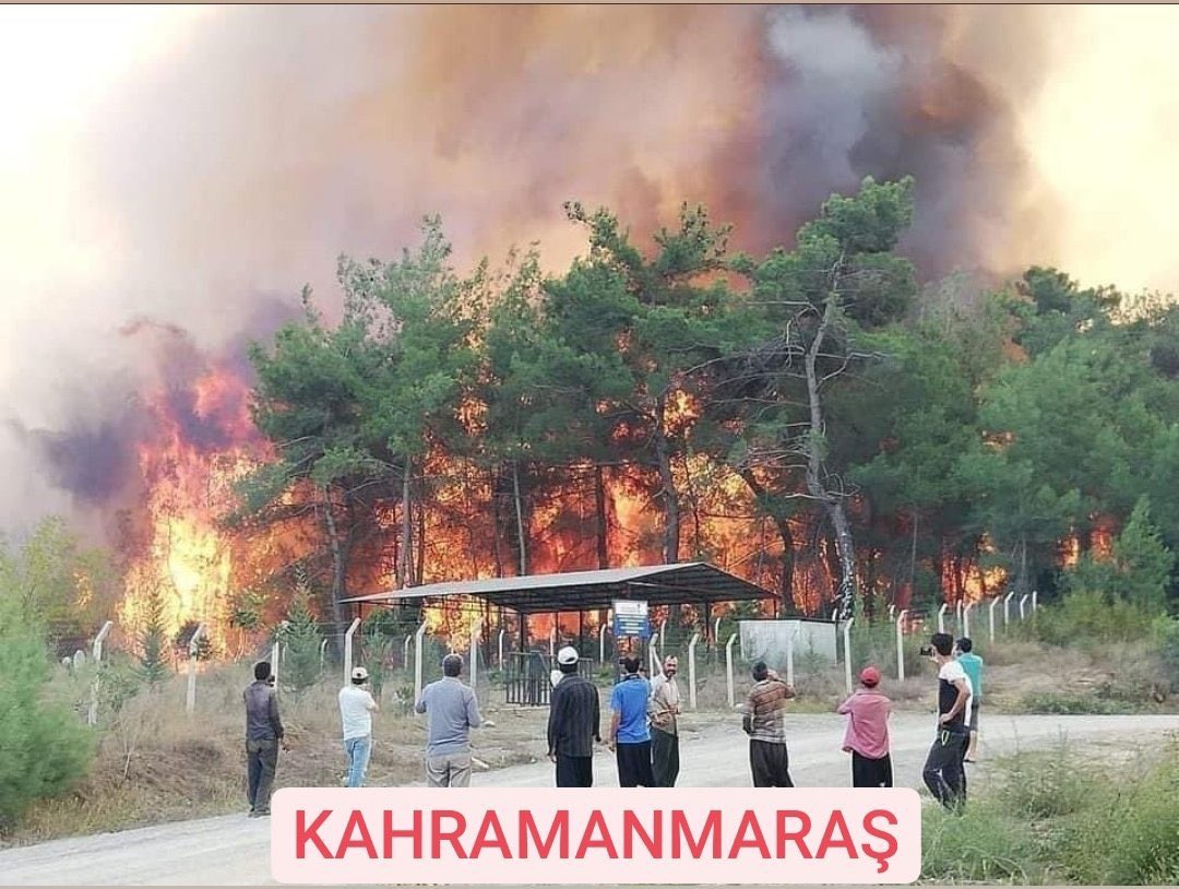 Lazoline's tweet photo. Haine merhamet edenlerin, 
sevgili selahattin diyenlerin, 
apoya övgü düzenlerin, 
sende evini böyle yak Allah’ım ! https://t.co/6ADB4yyp7H