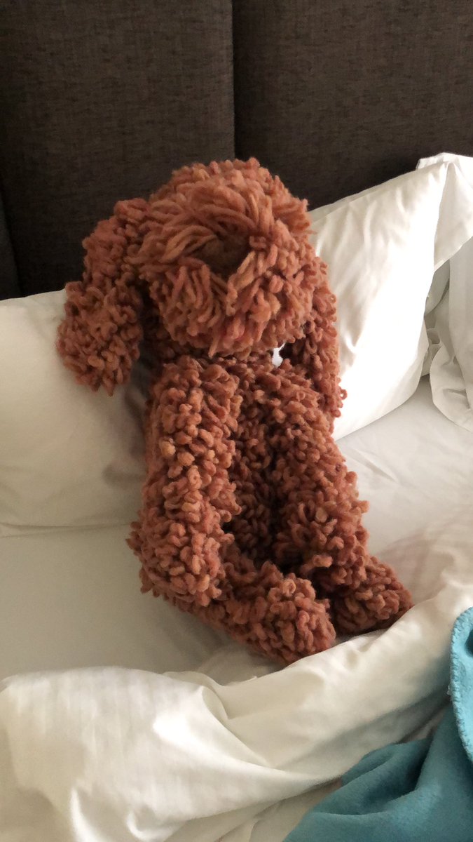 jsandi27's tweet photo. #petsoflatrobe #quarantinepets 😂😂😂 take what you can get right!!! https://t.co/uCQasUSXa9