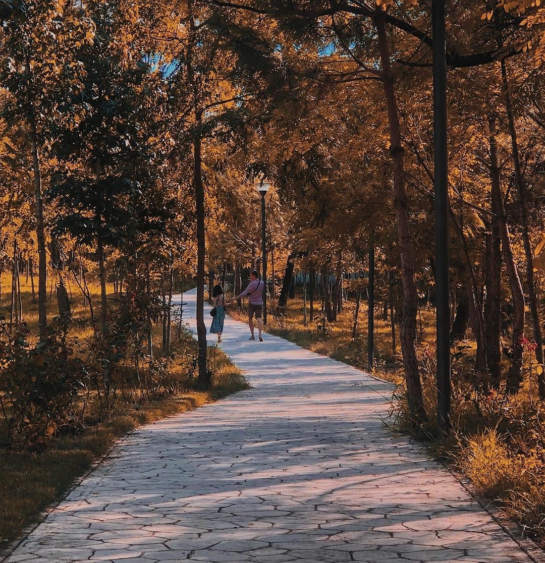 VisitTirana's tweet photo. Sunday walking by the park🍁🍂🍁

#visittirana #Albania #tirana 
#tiranaautumn2020 https://t.co/6YHpNnTSog