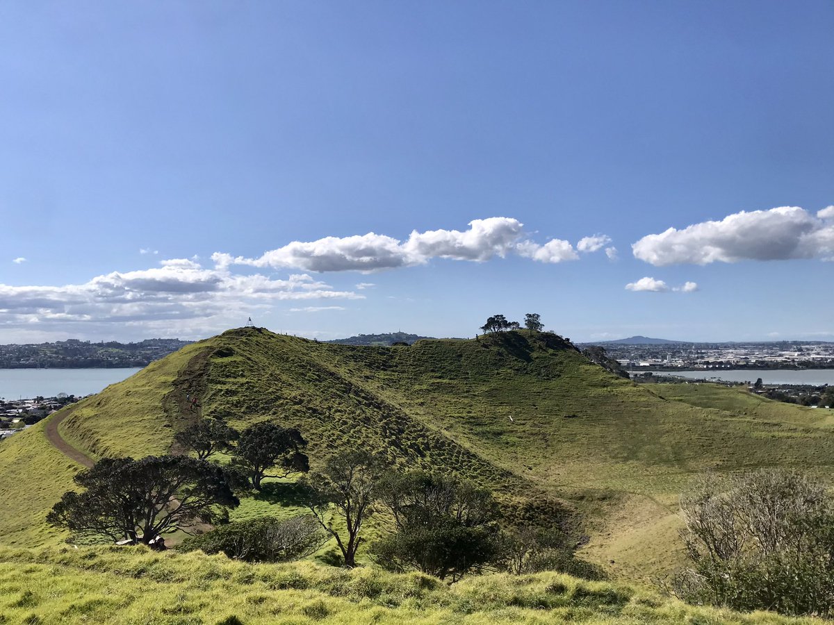 ... they are cloaked in native bush in line with TMA’s vision. It will be a scattering of green jewels across our city, refracting in our neighbourhoods with kererū and tūī, beautiful places of repose and connection with whenua. And v lucky we will all be.