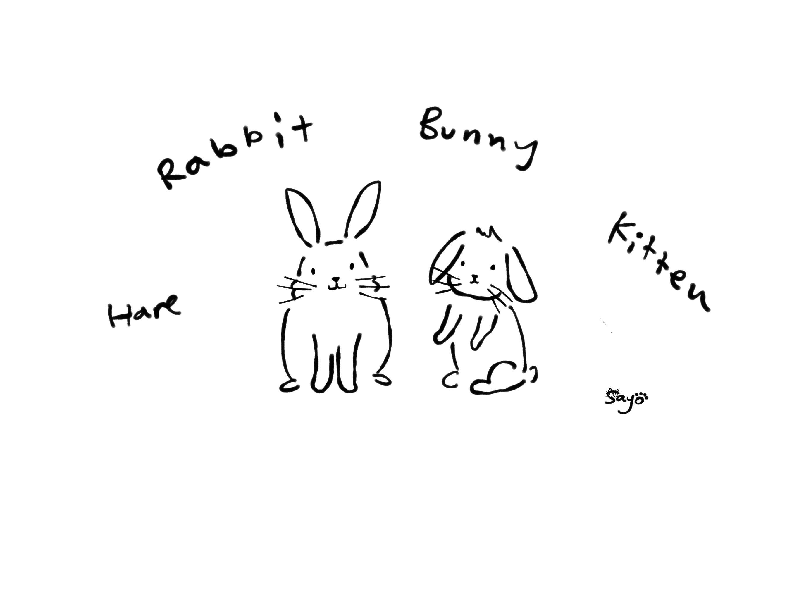 英国獣医師sayo ほぼ毎日1つ 現場で使える獣医英語 ウサギの呼び方色々 Rabbit ウサギ全般 Bunny ウサちゃん Bunny Rabbit ウサちゃん Hare 野うさぎ Doe 雌うさぎ Buck 雄うさぎ Kit Kitten 赤ちゃんうさぎ 獣医英語