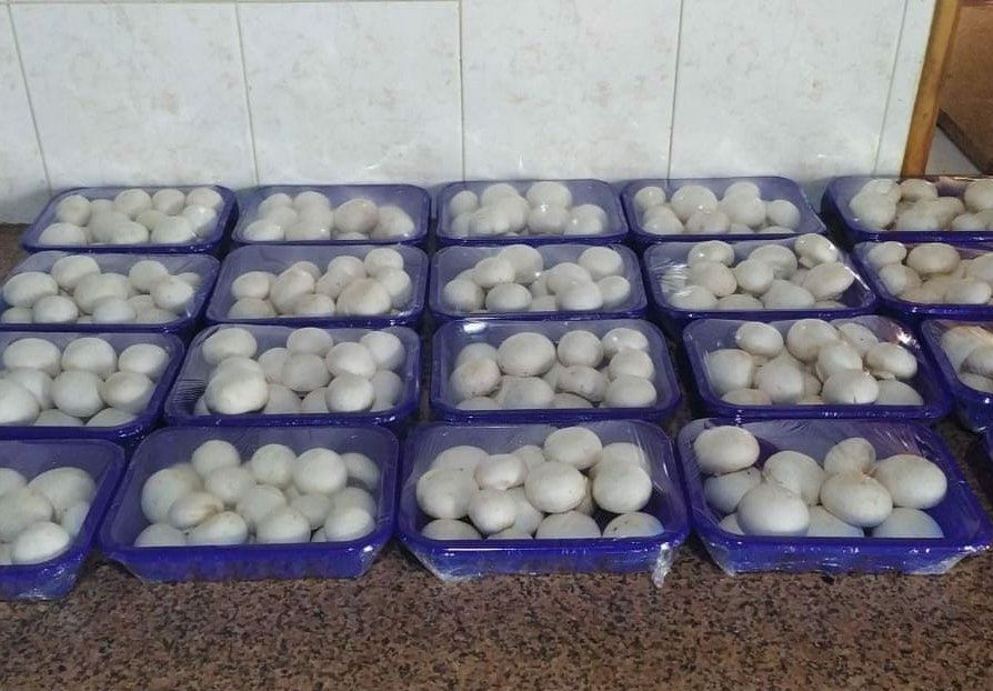 mickyangelod's tweet photo. See God.Our first harvest.
Farm fresh button mushrooms on order... We can produce upto 20 punnets a day, so help a brother retweet.
Both Retail and Wholesale... #letsgerrit more customers are surely on your timeline. Thanks for the retweet 😊 https://t.co/AF5e8a5Ue2