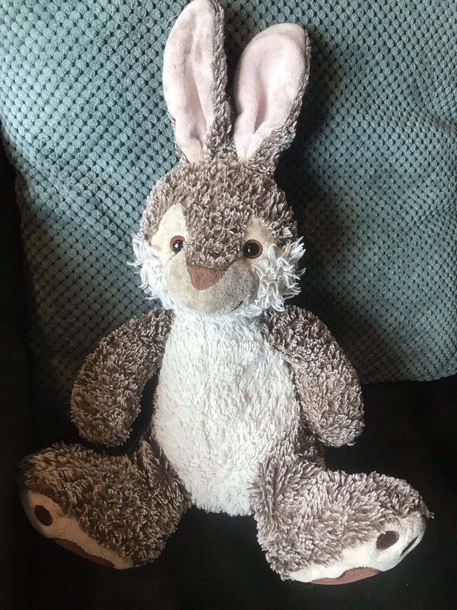 We hopen dat iemand ons kan helpen met het volgende. Wie weet waar deze knuffel te koop is?  Onze zoon Seppe heeft deze knuffel van zijn oma gehad op de dag van de uitvaart van opa Nico. Een reserve exemplaar van konijn Noci is fijn! Retweette is aardig! #dtv #knuffel