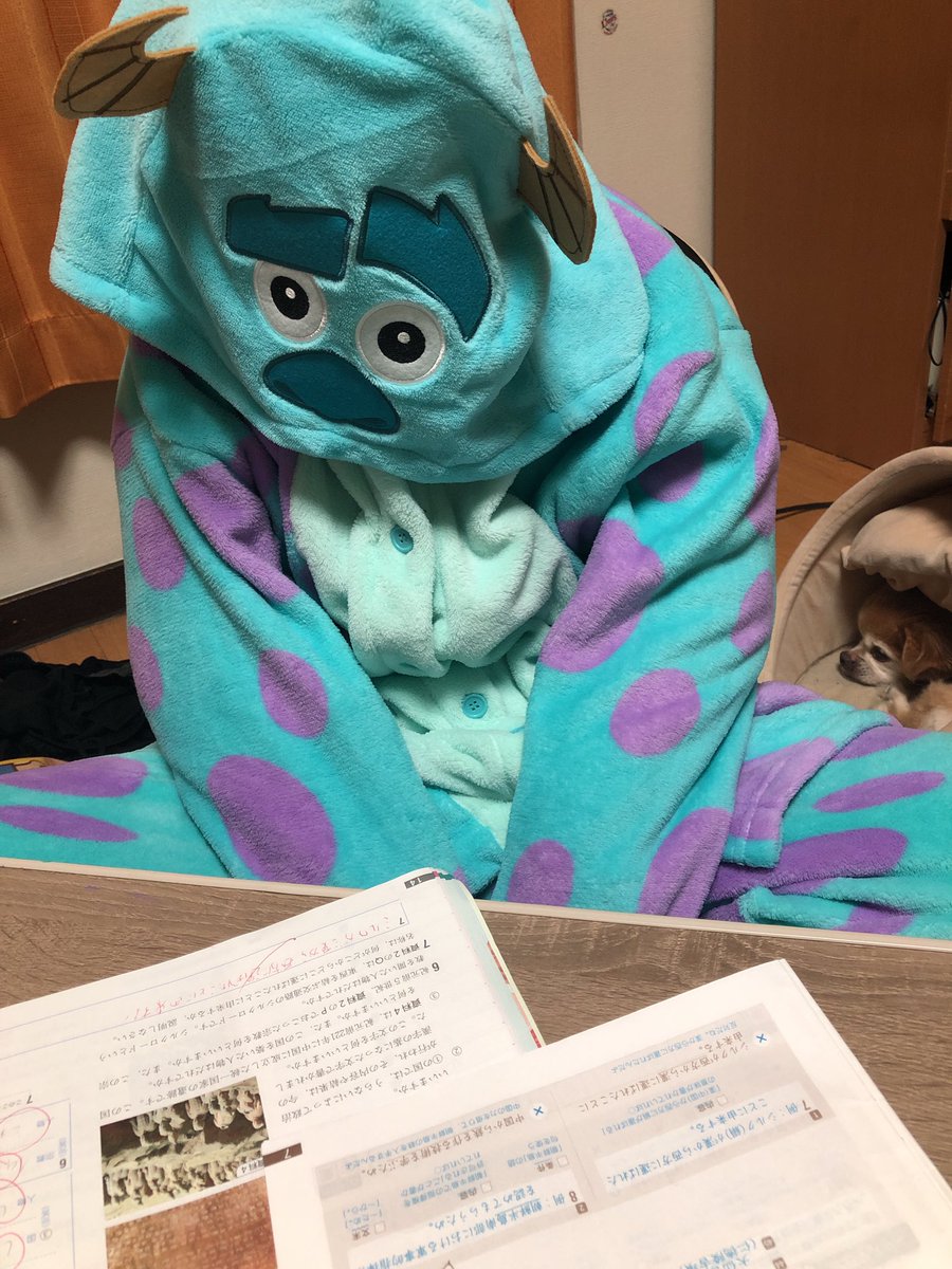 まいころ山 しまむらで着ぐるみが税別2700円だったので パジャマに買ってきた トイストーリーのレックスとサリー 私もレックス買った థ౪థ 旦那が着てくれたらいいのにな 着ないな あとは頼んだ炬燵を待つのみ コタツムリになる日も近い