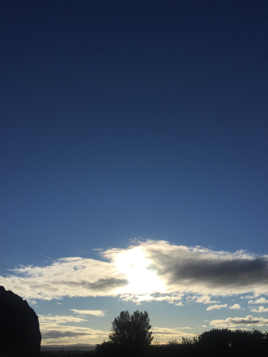 janicemparker's tweet photo. Morning light of the day. Lucky to have it. Letting it soak deep in the old bones. Hope you are all okay out there. Take heart #TimeIsChanging  #NatureInTheCity #PlacesOfBelonging https://t.co/DSK9NzISMC