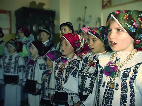 krašovani who mainly live in romania in the romanian part of banat, majority are catholic, and they speak the krašova language. // there are a total of about 5,000 of them, most of whom declare themselves as croats or serbs, and only about 200 as a separate ethnic group.