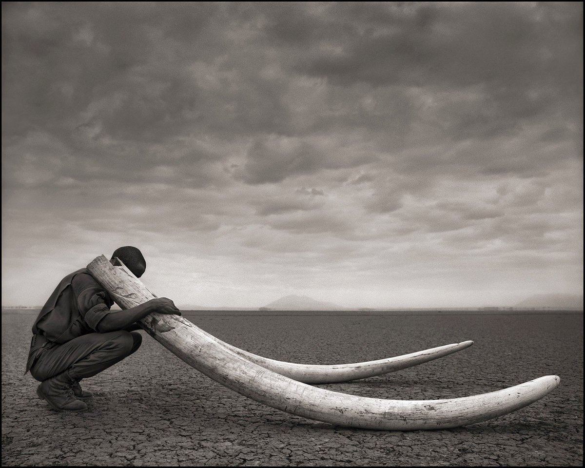 Nathan_Kurtz's tweet photo. Fotografía ...  Nick Brandt https://t.co/eCRlT3Kp2g