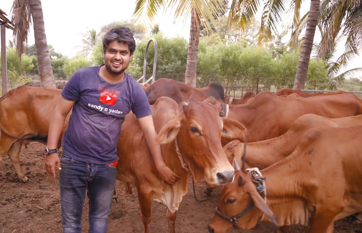 snyteam's tweet photo. साहिवाल गायी...नवीन विषय आला आहे
चॅनेल वर पहा..👇👇👇👇👇👇
https://t.co/f2GWSBM4un

#शेती
#Farmers #Cow #documentry #argiculure #sahiwal https://t.co/vSMqQOi18u
