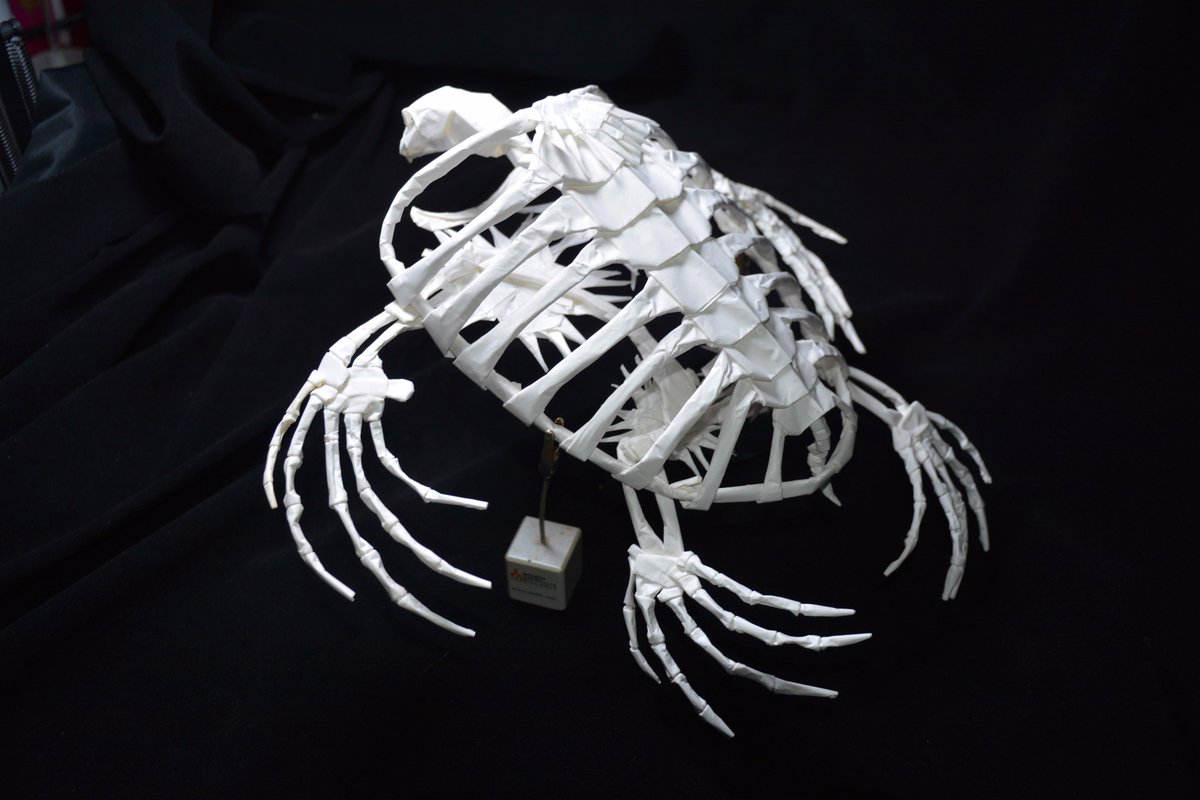 Daniel Xu Archelon Skeleton Design By Eiichiro Mase Daniel Xu Archelon Skeleton Design By Eiichiro Mase