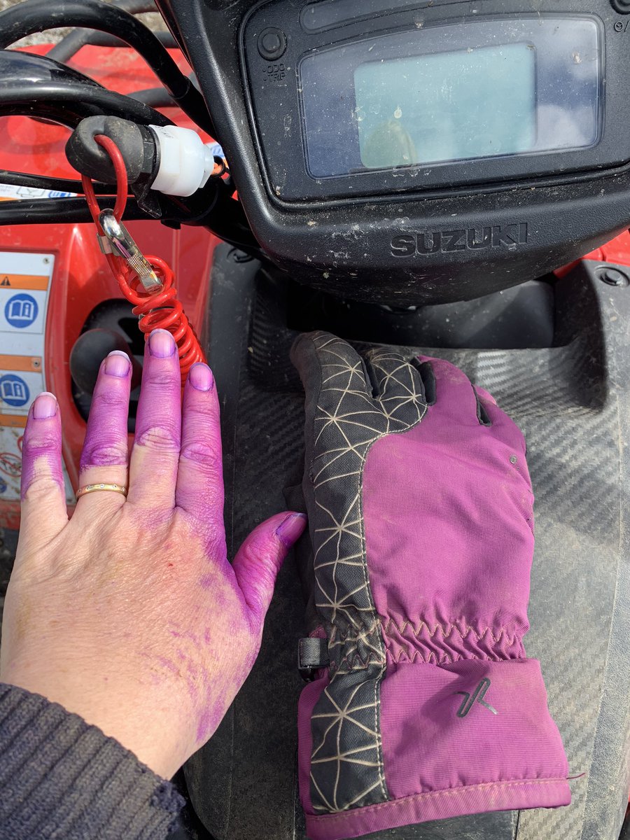 Emma Anthony (@anthonycwmrisca) on Twitter photo Matching hat and gloves are so last year ! Matching glove and hand are on trend this year ๐.
#Farmerswife #FamilyFarm #Sheep365 <a href="/Jacob_cwmrisca/">Jacob Anthony</a> I think you need to replenish your antiseptic spray supply - oops ๐ Matching hat and gloves are so last year ! Matching glove and hand are on trend this year ๐.
#Farmerswife #FamilyFarm #Sheep365 <a href="/Jacob_cwmrisca/">Jacob Anthony</a> I think you need to replenish your antiseptic spray supply - oops ๐