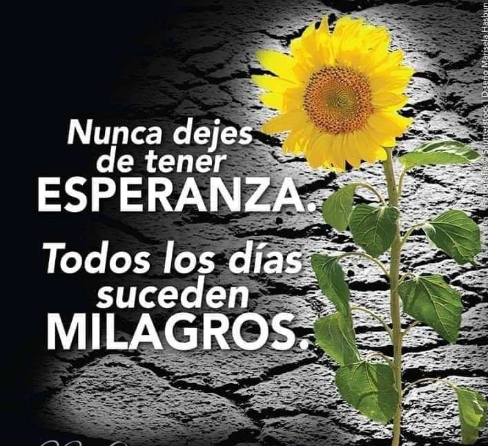 TActivo79's tweet image. #11Oct|🇻🇪 Domingo de Descanso😘🤗
#LeyAntibloqueoEsProgreso
#CombatientesDigitales
@NicolasMaduro
@sidorpotencia
@jessinani_reina
@Nieves46651726
@LuisDanCabr17
@MileidyMarcano2
@Juanitast56
@Circuito1FHLP
@Yaneth341
@Maureilys
@astudi_ces         @JACKNASTUDIL4