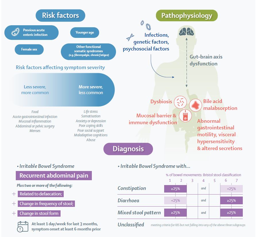 LancetGastroHep's tweet image. New @TheLancet Series on functional gastrointestinal disorders (disorders of gut-brain interaction) - thelancet.com/series/functio…

#UEGWeek #gitwitter #FGID #DGBI #IBS #dyspepsia
