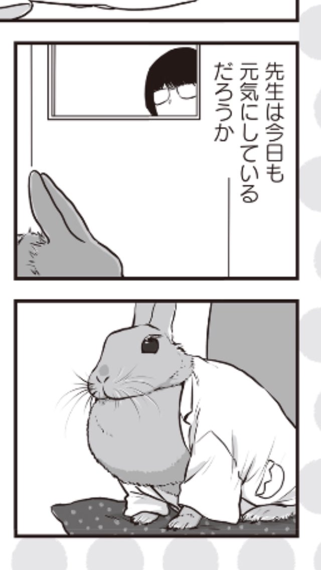 配信楽しみにしてた漫画、 #SCうさみ先生
うさみ先生の頭身が、造形が、私好みのミニウサギさん?白衣の保健の先生!優しいまつ毛に全コマキュン!?この中学校に通いたかった!みんな読みましょ〜! https://t.co/J4pJfraEuE 