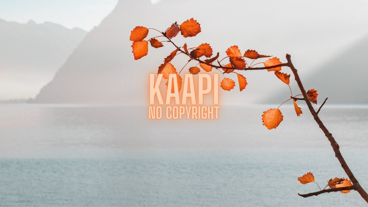 kaapincr's tweet photo. DayFox – Jalouse | Kaapi No Copyright Music

Listen to Music Here👉https://t.co/dDsZpBFChb

#kaapinocopyright #music #EDM #happy #Jalouse #free #royaltyfreemusic #youtube #smoothbeats #pop #tropical #backgroundmusic #house #copyrightfree #nocopyright #NoSmallNovember #subscribers https://t.co/LRcXymV3sb