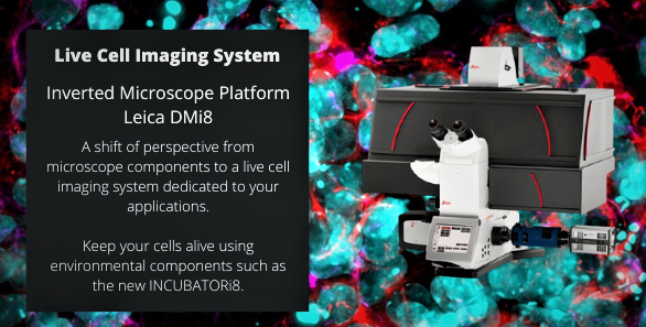 Lab Technologies Group tweet media