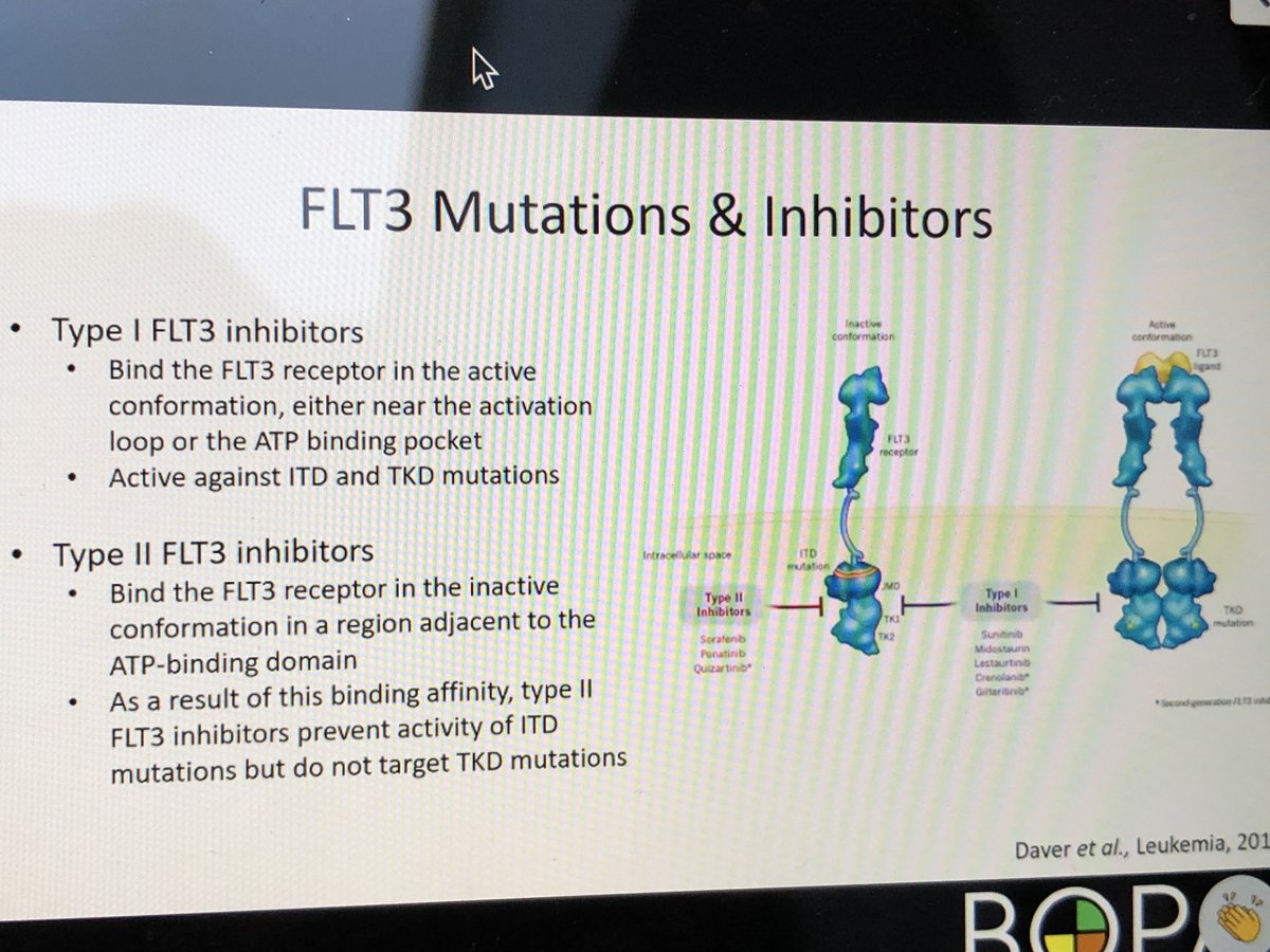 DebraRo52506618's tweet photo. Going to add a review of FLT3 mutations and inhibitors to my #plannedCPD for next year #BOPA2020 https://t.co/OR99QqEyhE