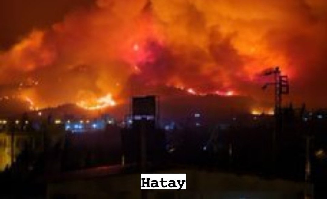 Feneristcom's tweet photo. #AcabaFarkındaMısın PKK ormanları yaktığını itiraf ettiği halde ünlü ve sanatçı (!) tayfasından bi KINAMA mesajı dahi gelmedi!

Dertleri doğa, ağaç olmayan vatan hainleri, pisliğinizde boğulun İnşallah... https://t.co/vDECv4a5RJ
