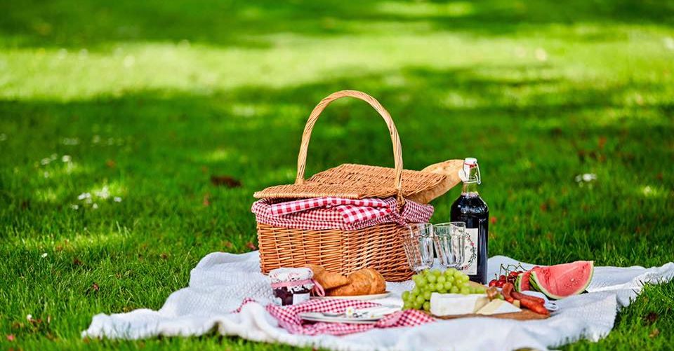 We're having a picnic in Singleton Park from 1pm today! In this casual event we can all get to know each other better and eventually start discussing social/political issues. Feel free to bring whatever food you please. We are meeting at Fulton House at 1pm

See you there!