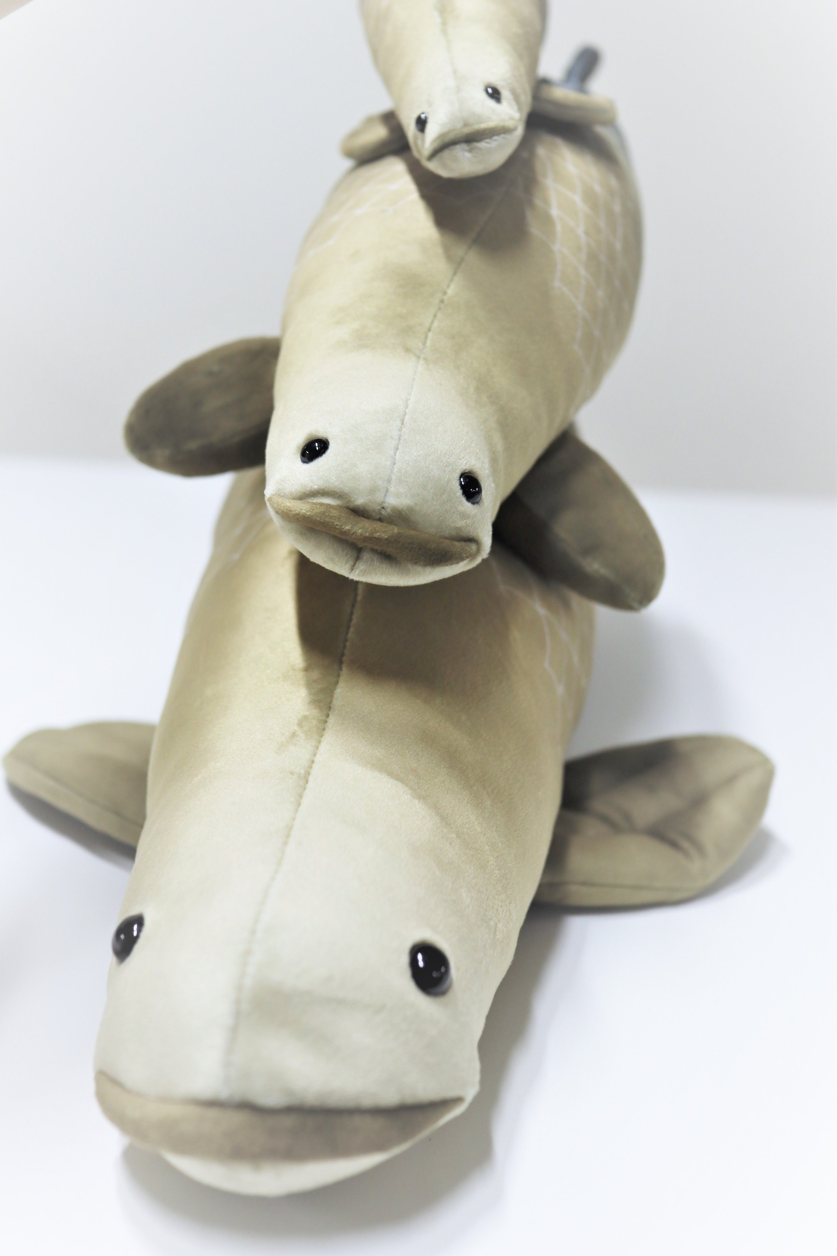 Amazon.co.jp: 新江ノ島水族館 ぬいぐるみ くじ シラス 1等 4等